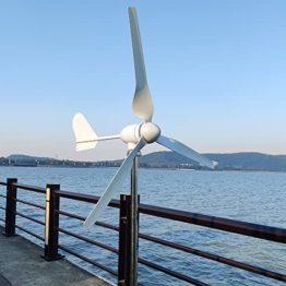 1000W Windkraftanlage 12V 24V 48V Windturbine Generator mit Hybrid Controller für den Heimgebrauch hohe Effizienz (48V mit Controller) - 1