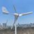 1000W Windkraftanlage 12V 24V 48V Windturbine Generator mit Hybrid Controller für den Heimgebrauch hohe Effizienz (48V mit Controller) - 4