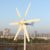 800W 12V 24V 48V Windkraftanlage Windturbine Mit MPPT Controller Horizontale 3 Phase AC Windgenerator Für Home bauernhof Straße Lampen 6 Blätter Windmühle (48V, 800W) - 4