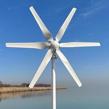 800W Windkraftanlage 12V 24V 48V Windturbine mit 6 Flügeln und kostenlosem MPPT Controller horizontaler Windgenerator für Zuhause (24V mit Controller) - 2