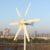 800W Windturbine 12V Windkraftanlage geräuscharm Windgenerator mit MPPT Regler für Heimgebrauch Straßenlampen Boot Windmühle - 2