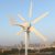 800W Windturbine 12V Windkraftanlage geräuscharm Windgenerator mit MPPT Regler für Heimgebrauch Straßenlampen Boot Windmühle - 1