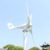 Freie Kraft 800W Windkraftanlage Windturbine mit MPPT Controller Laderegler 12V 24V 48 V Windrad Windgenerator Energie Turbinen 6 Blätter Windmühl (24 V, 6 Klingen) - 2
