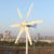Freie Kraft 800W Windkraftanlage Windturbine mit MPPT Controller Laderegler 12V 24V 48 V Windrad Windgenerator Energie Turbinen 6 Blätter Windmühl (24 V, 6 Klingen) - 4