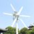 Freie Kraft 800W Windkraftanlage Windturbine mit MPPT Controller Laderegler 12V 24V 48 V Windrad Windgenerator Energie Turbinen 6 Blätter Windmühl (24 V, 6 Klingen) - 1