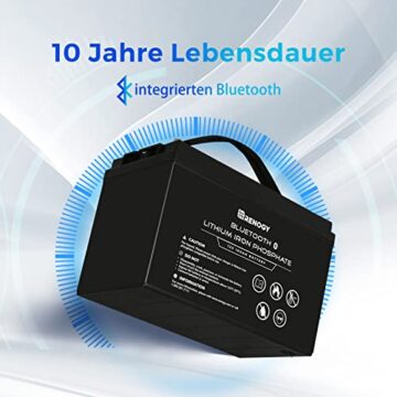 Renogy Solaranlage Komplettset,Balkonkraftwerk Inselanlage 1050W 12V 4Kwh Garten,Balkon,Dach:6*175W Solarpanels,1*2000W Reiner Sinus Wechselrichter,2*100Ah Batterie Bluetooth,100A MPPT Laderegler - 5